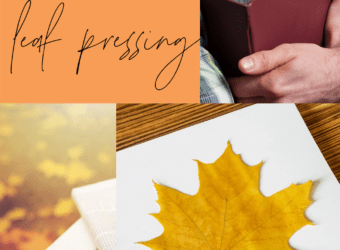 Kid Crafts: Fall Fun For Kids - Pressing Leaves