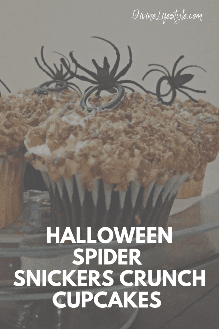 Halloween Spider Crunchy Snickers Cupcakes