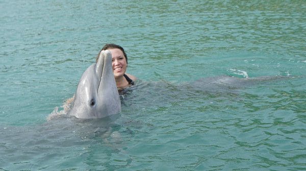 Visiting Grand Bahama Island: The Softer Side of the Bahamas Part 2 - dolphins