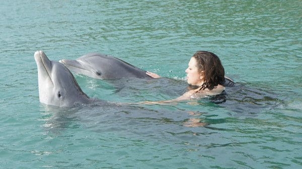 Visiting Grand Bahama Island: The Softer Side of the Bahamas Part 2 - swim with dolphins