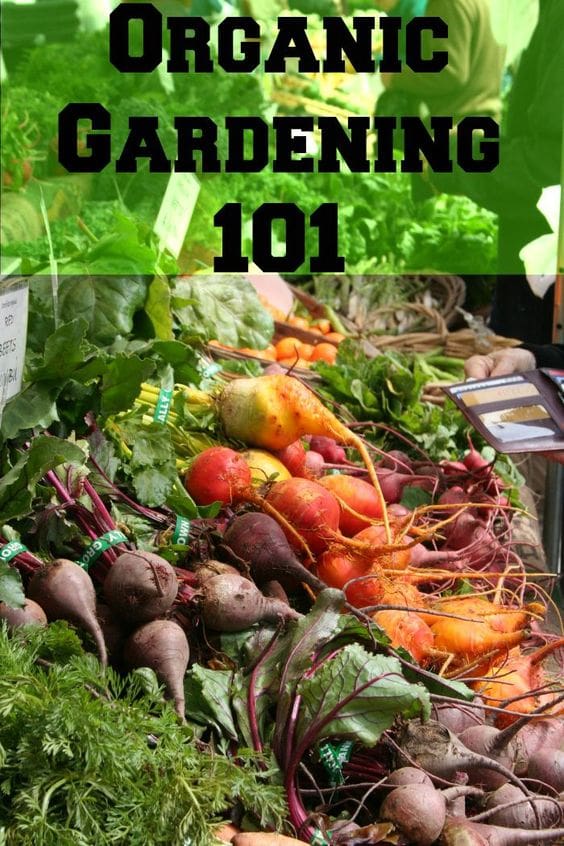 Organic Gardening 101