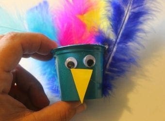 Upcycled Peacock Craft 5