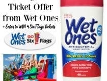Wet Ones Six Flags Pinterest