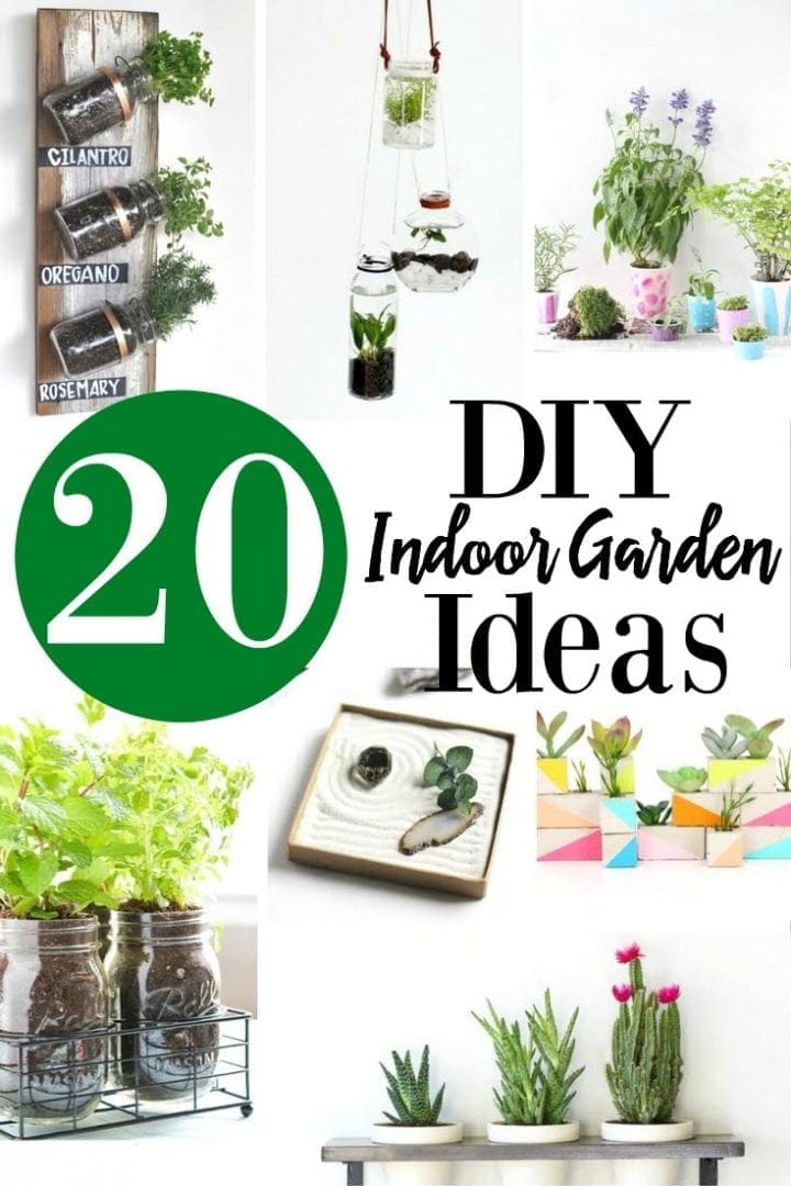 20 DIY Indoor Garden Ideas