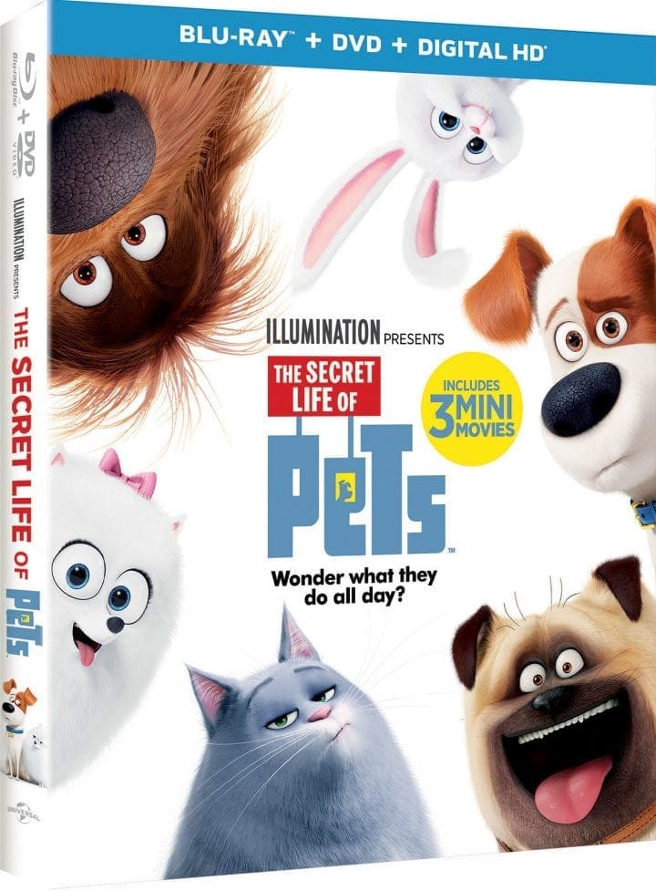 The Secret Life of Pets’ coming to DVD + Blu-ray #TheSecretLifeOfPets #PetsPack