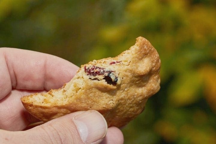Cranberry White Chocolate Pecan Cookie Recipe 5