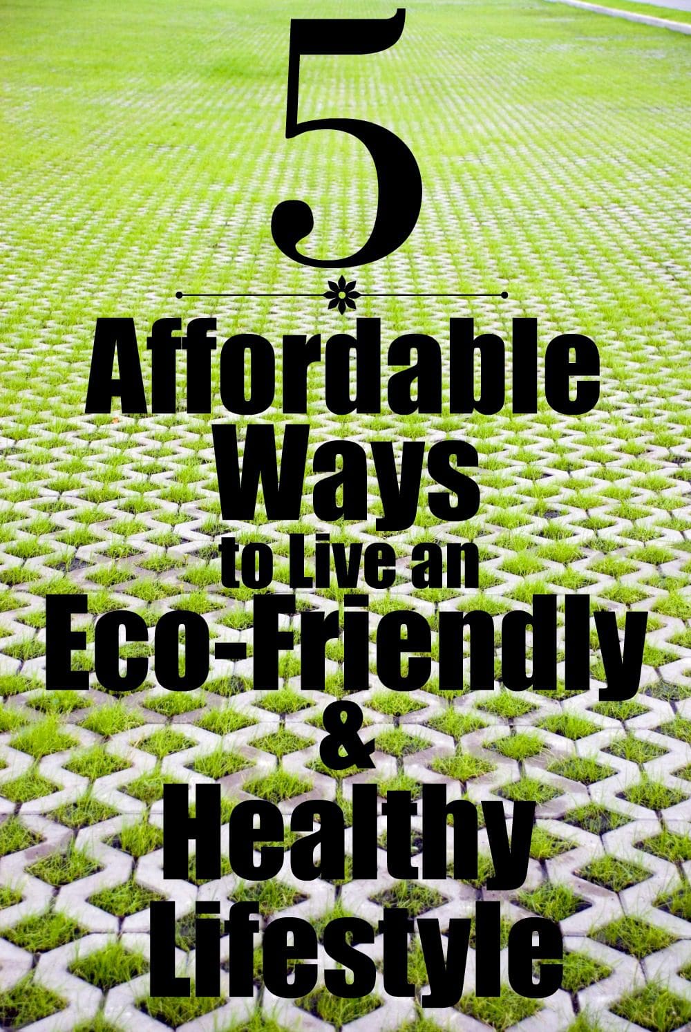 5 affordable ways to live an eco-friendly and healthy lifestyle