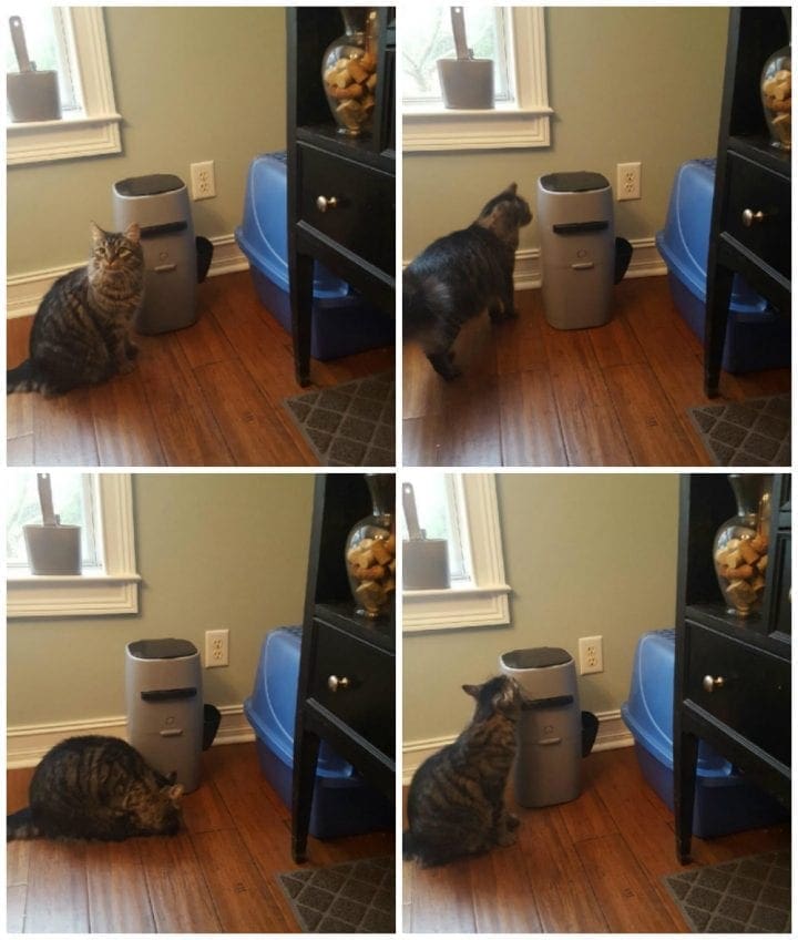 Genie Cat Litter Disposal System