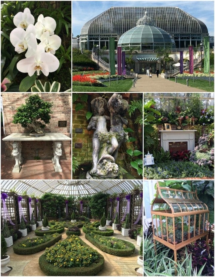 What to do in Pittsburgh Pennsylvania #LovePGH @vstpgh Phipps Conservatory and Botanical Gardens