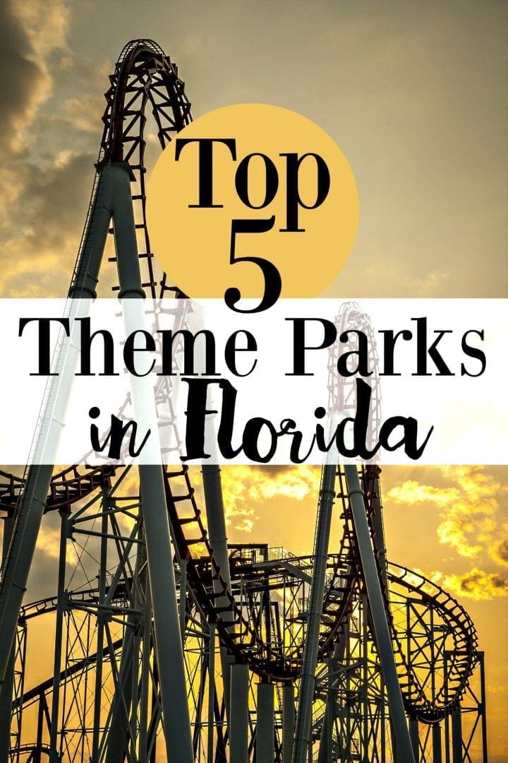 Top 5 Theme Parks in Florida
