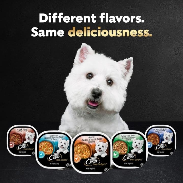 Cesar Home Delights Flavors