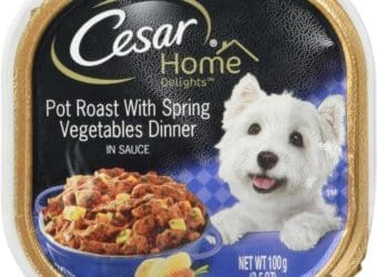 Cesar Home Delights Pot Roast