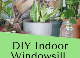DIY Indoor Windowsill Herb Garden + Free Printable Herb Garden Tags