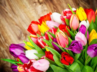 Creative Ways To Use Tulip Bulbs In Your Garden