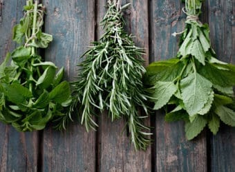 Recipes Using Fresh Herbs